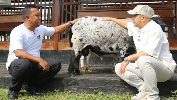 Irfan Hakim mengunjungi LASKAR Farm di Lapas Karawang. (dok.istimewa)
