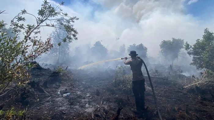 Karhutla di Desa Tumbang Nusa