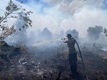 4 Karhutla Terjadi Selama Juli di Lampung, Mayoritas Dipicu Ulah Manusia