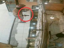 Keder Rampok Amatir Modal Pistol Mainan Berakhir Dibekuk Polisi