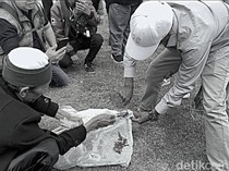 Warga Potong Ayam di Depan Kantor Bupati Lobar, Minta LAZ Dimiskinkan