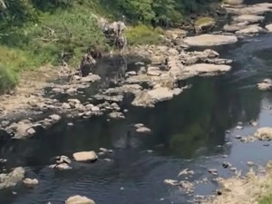 Air Sungai Cileungsi Menghitam Diduga Tercemar, Pemkab Bogor Turun Tangan