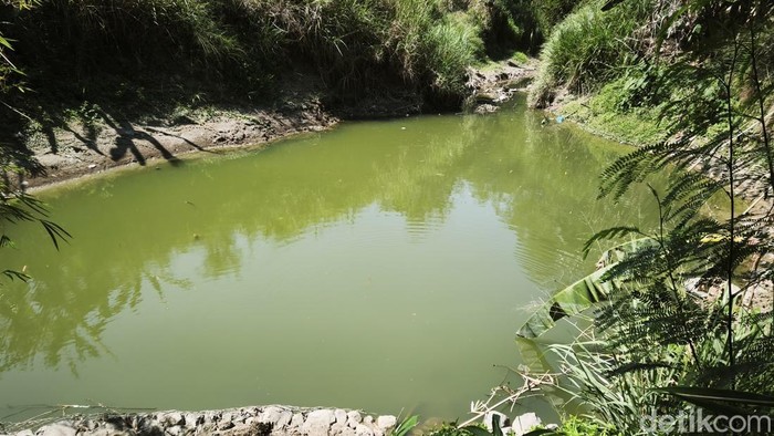 Kondisi Sungai Babon di Kelurahan Plamongansari, Kecamatan Pedurungan, Kota Semarang, yang diduga tercemar, Jumat (24/7).