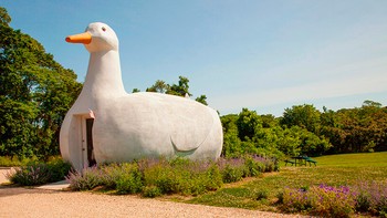 The Big Duck di Flanders, New York, Amerika Serikat, menjadi salah satu ikon arsitektur nyeleneh yang masuk dalam buku tersebut. Bangunan berbentuk bebek raksasa ini awalnya dibangun sebagai toko penjual bebek dan telur pada 1931. Foto: Weird Buildings via DesignBoom