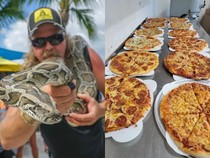 Bangkai Ular Piton Bisa Ditukar Pizza, Promo Restoran Ini Bikin Heboh
