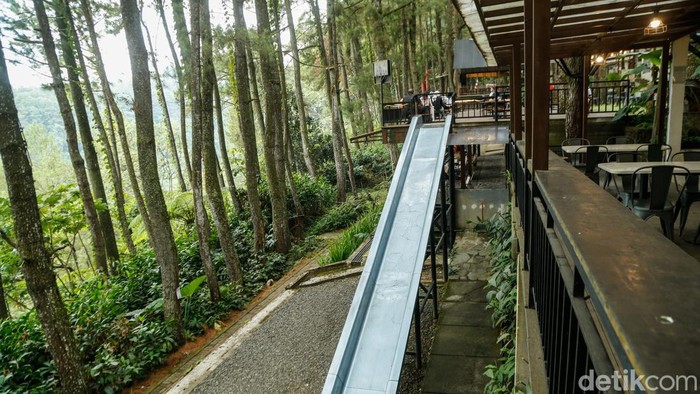 Pengunjung menikmati hidangan di Daong Hutan Pinus, Desa Pancawati, Kabupaten Bogor, Selasa (21/7/2026). Tempat ini memadukan wisata alam, kafe outdoor, dan restoran di tengah hutan pinus.