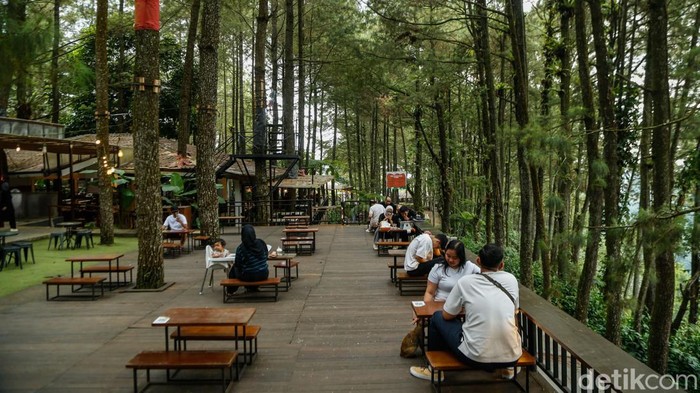 Pengunjung menikmati hidangan di Daong Hutan Pinus, Desa Pancawati, Kabupaten Bogor, Selasa (21/7/2026). Tempat ini memadukan wisata alam, kafe outdoor, dan restoran di tengah hutan pinus.
