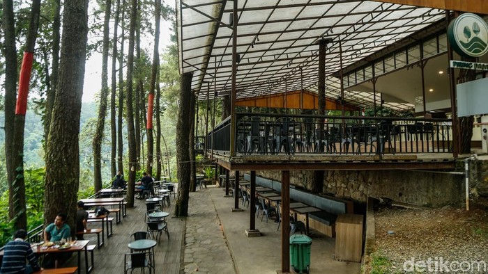 Pengunjung menikmati hidangan di Daong Hutan Pinus, Desa Pancawati, Kabupaten Bogor, Selasa (21/7/2026). Tempat ini memadukan wisata alam, kafe outdoor, dan restoran di tengah hutan pinus.