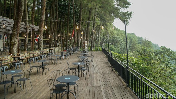 Pengunjung menikmati hidangan di Daong Hutan Pinus, Desa Pancawati, Kabupaten Bogor, Selasa (21/7/2026). Tempat ini memadukan wisata alam, kafe outdoor, dan restoran di tengah hutan pinus.