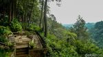 Bosan ke Puncak? Coba Healing di Daong Hutan Pinus Desa Pancawati