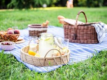 Coba Staycation dengan Konsep Baru! Piknik & Sarapan di Tebet Eco Park