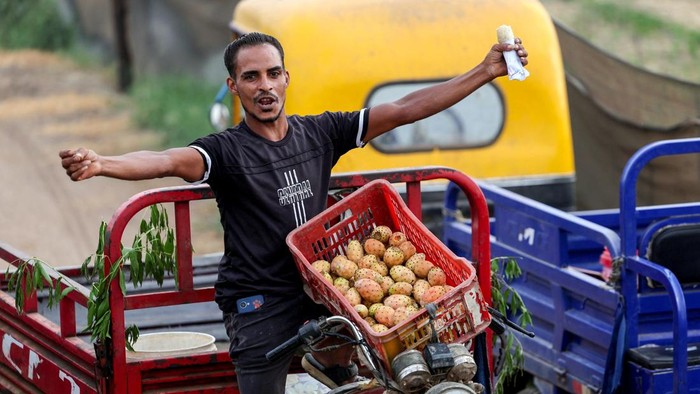 A worker picks prickly pears, whose production is on the rise due to their low water consumption and ability to withstand extreme temperatures, according to farmers, at a farm in Al Qalyubia Governorate, Egypt, July 23, 2026. REUTERS/Mohamed Abdel Ghany