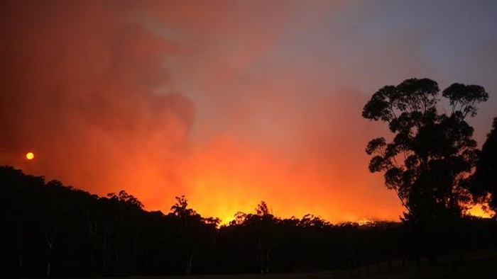 Dengan jumlah korban jiwa mencapai 131 orang, kebakaran hutan Black Saturday di Victoria dianggap sebagai yang terburuk dalam sejarah Australia.