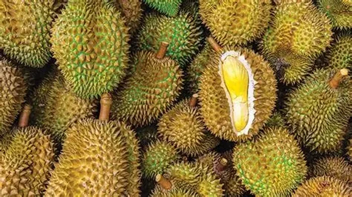 Fantastis! Daftar 5 Durian Termahal di Dunia, Ada yang Rp862 Juta