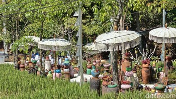 Kamera telephoto-nya juga mendukung 100x Super Zoom Pro, sehingga foto dengan zoom 6x seperti ini masih terlihat menawan. Foto: Virgina Maulita Putri/detikINET