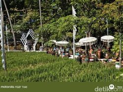 Sehari di Garut Bersama Motorola Razr Fold si Raja DXOMARK