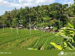 Sehari di Garut Bersama Motorola Razr Fold si Raja DXOMARK