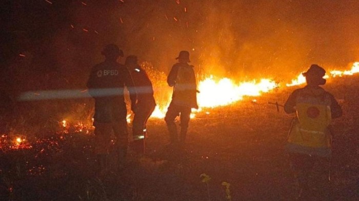 Karhutla Beruntun di Pantai Lunci Sukamara, 30 Hektare Lahan Terbakar