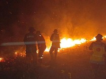 Karhutla Beruntun di Pantai Lunci Sukamara, 30 Hektare Lahan Terbakar
