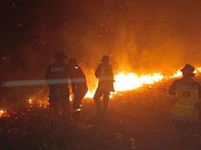 Karhutla Beruntun di Pantai Lunci Sukamara, 30 Hektare Lahan Terbakar
