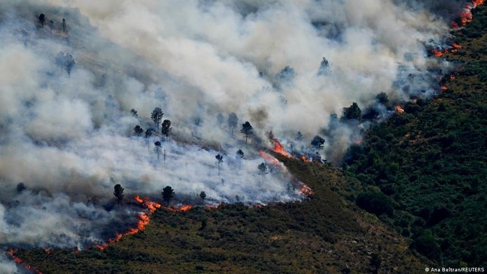 Kebakaran Hutan di Eropa Picu Evakuasi Puluhan Ribu Warga