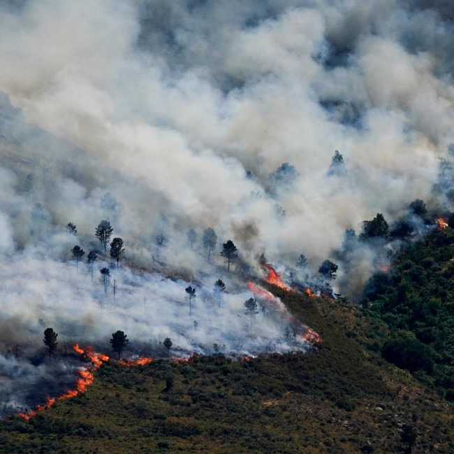 Kebakaran Hutan di Spanyol Kian Tak Terkendali