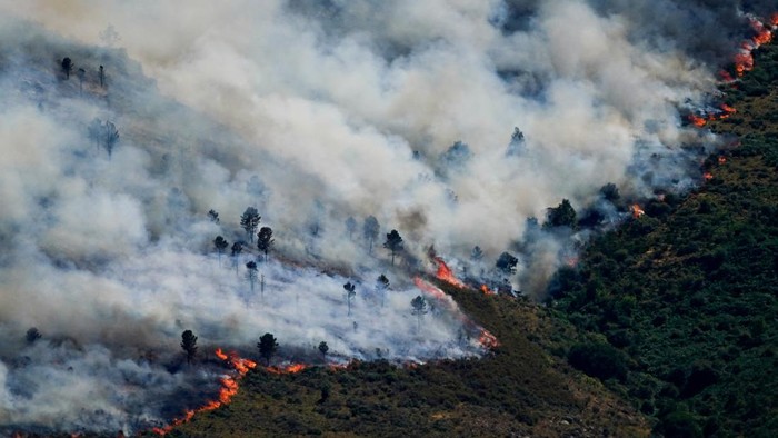 A view of a wildfire spreading over the Burgohondo mountains, in Avila, Spain July 23, 2026. REUTERS/Ana Beltran