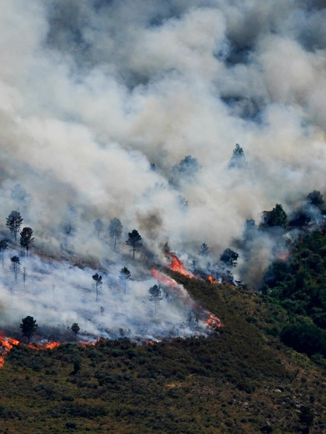 Kebakaran Hutan di Spanyol Kian Tak Terkendali