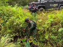 TNI Diserang OPM Saat Evakuasi Jenazah Pasutri Korban Pembunuhan di Yahukimo