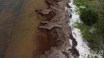 Ledakan Sargassum Kepung Pantai Wisata Meksiko