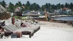 Ledakan Sargassum Kepung Pantai Wisata Meksiko