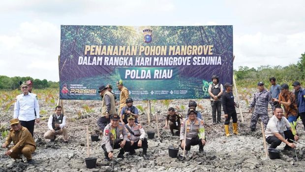Polda Riau mengungkap kasus perusakan 118 hektare hutan mangrove dan menetapkan 2 orang tersangka