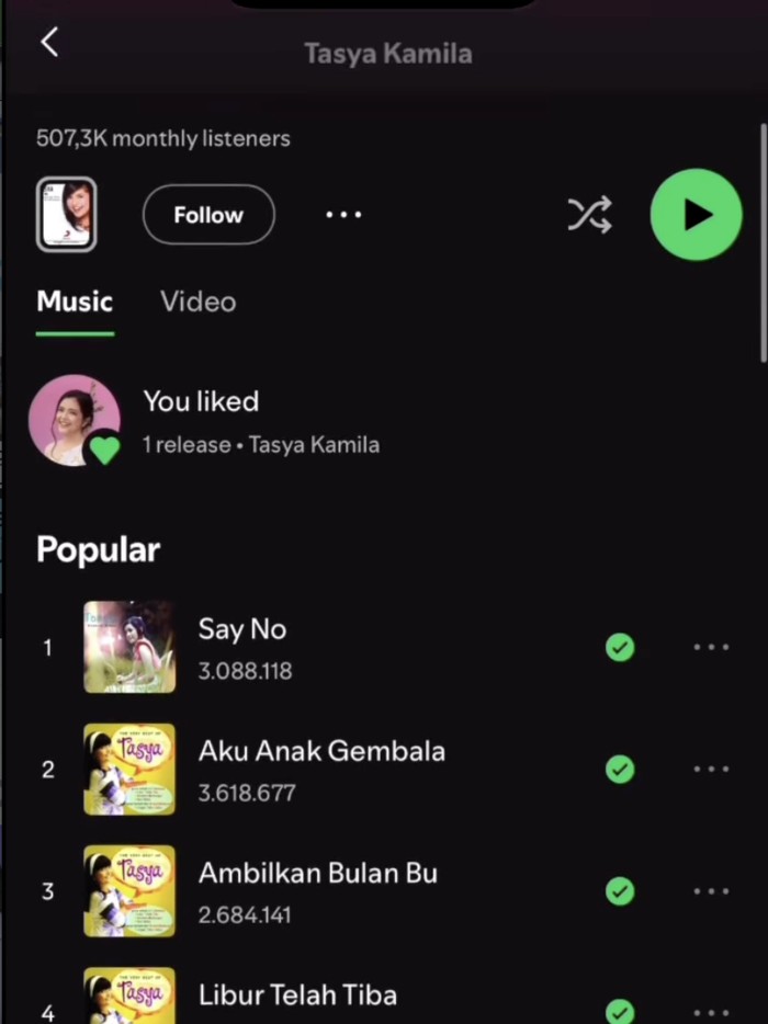 Lagu Say No yang dipopulerkan Tasya Kamila 15 tahun lalu viral