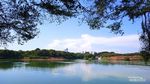 Menikmati Keteduhan Pohon Afrika di Taman Baobab Pulomas