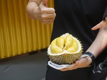 Berburu Musang King, Si Raja Durian dari Negeri Jiran