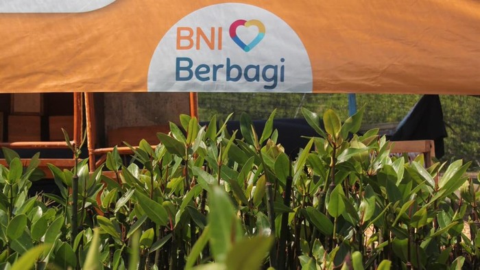 Hari Mangrove Sedunia, BNI Perkuat Pelestarian Lingkungan & Ekonomi Pesisir