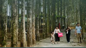  Video: JALAN YUK! Spot Ngadem di Musim Panas: Kebun Jati Pancawati