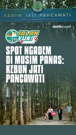 Video: JALAN YUK! Spot Ngadem di Musim Panas: Kebun Jati Pancawati