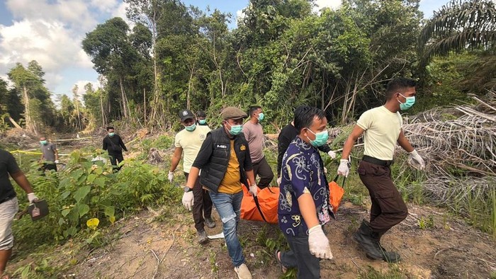 Jasad perempuan ditemukan di kebun sawit Manis Mata. (Istimewa)