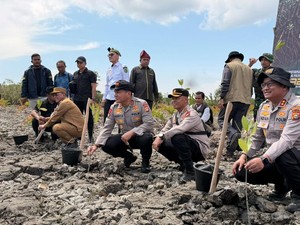Komitmen Green Policing, Kapolda Riau Tanam Kembali Mangrove yang Dirusak