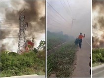 Kebakaran 10 Hektare Lahan di Tulang Bawang Ancam Tower Sutet