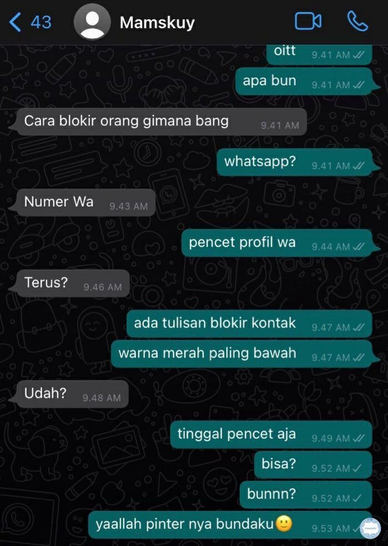 Kumpulan Chat Warga +62