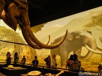 Libur Akhir Pekan, Yuk Jelajahi Museum Nasional