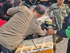 Jaringan Perdagangan Siamang dalam Keranjang Roti di Binjai Diselidiki