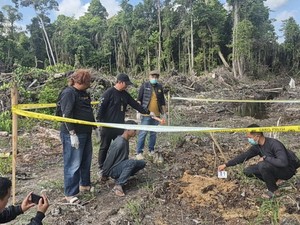 Sakit Hati Diputus, Pria Ketapang Bunuh Kekasih di Kebun Sawit