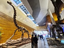 Indonesia Pamerkan Fosil Dinosaurus Asli dari China, Pertama dalam Sejarah