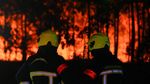 Kekeringan Ekstrem Picu Kebakaran Hutan di Gironde
