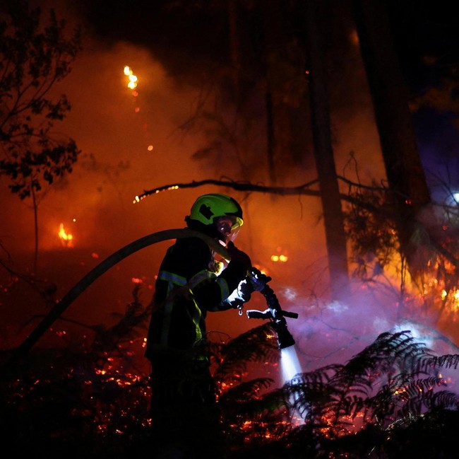 Kekeringan Ekstrem Picu Kebakaran Hutan di Gironde