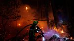 Kekeringan Ekstrem Picu Kebakaran Hutan di Gironde