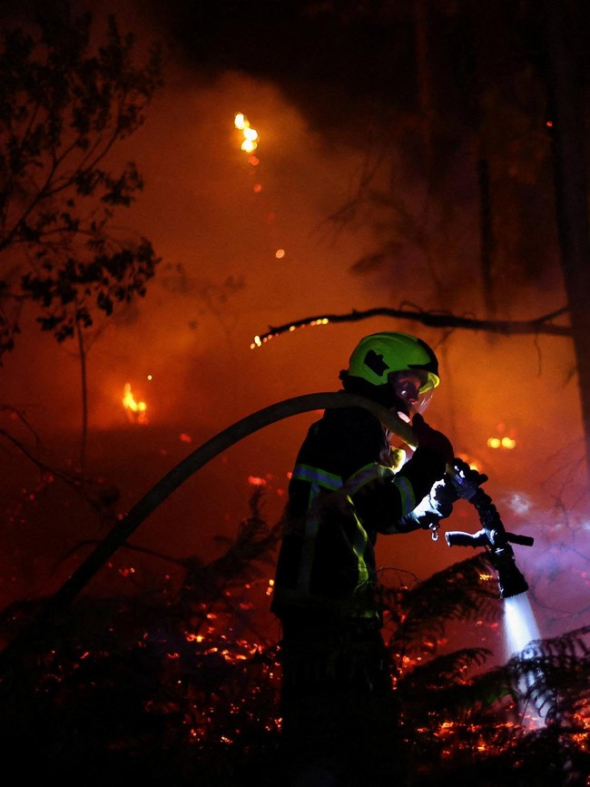 Kekeringan Ekstrem Picu Kebakaran Hutan di Gironde